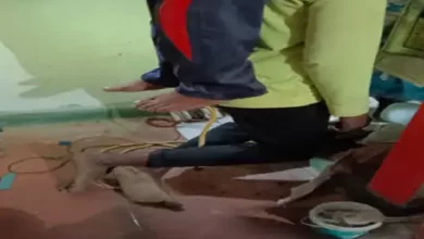 6 5 6 1675442936