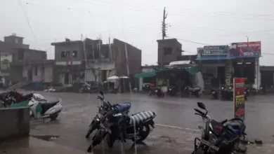 दोपहर में तेज बारिश, ग्राम सिंगारपुर में बिजली गिरने से दो बैलों की मौत 6 dbcl 1695303225650c463968936 21sepkawardha15