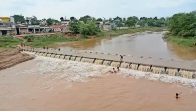 dbcl 1696336027651c089b89abb 03oct bemetara 03