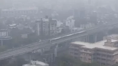 cold wave 1 1701053661