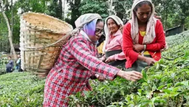 1701955128pg 4 1 f 1701956860 1