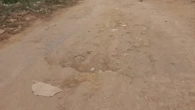 घोषणा के बाद भी दाढ़ी की मुख्य सड़क का निर्माण कार्य अब तक शुरू नहीं हुआ 21 206 17024759696579b8c15842e newdbcl 17024711806579a60cd2a00 13decemberbemetara07