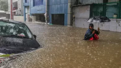 reeeeet5 1701754903 1