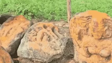 छत्तीसगढ़ के सुकमा में श्रीराम से जुड़ी कहानी:भूदेवी की पूजा की थी; अब यहां रामारामिन मंदिर; वनवास के दौरान पड़े थे चरण 6 comp 1 2 1705135963