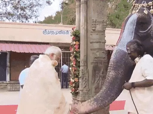 मोदी ने तमिलनाडु के रंगनाथस्वामी मंदिर में पूजा की:हाथी को गुड़ खिलाकर आशीर्वाद लिया; 2 बजे रामेश्वरम के रामनाथस्वामी मंदिर जाएंगे 1 comp 28 1705732586