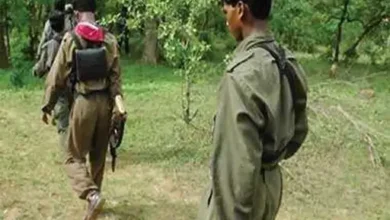 नक्सलियों ने पुलिस कैंप पर दागे 1 हजार BGL, VIDEO:बीजापुर-सुकमा सीमा पर मिले जिंदा बीजीएल के सेल; 3 नक्सली भी हुए थे ढेर 29 naxalite1705844164 1706082844