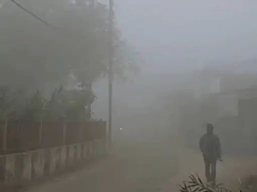 MP में 20 जनवरी तक सुबह 10 बजे लगेंगे स्कूल:शीतलहर के चलते बदली टाइमिंग; कल कई जिलों में बारिश और कोहरे का अलर्ट 1 new project 2024 01 08t194118796 1704723087