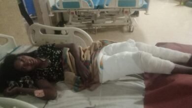 1707641105 d11d060cfc157c6dfd3c