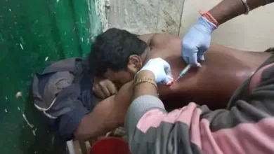 3546906 untitled 68 copy