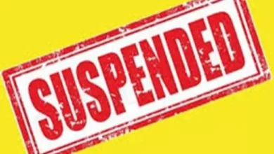 3564135 untitled 40 copy