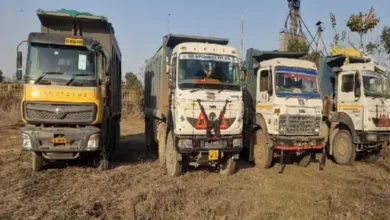 44412815101111111110191010101010101001010101011011 1708637438