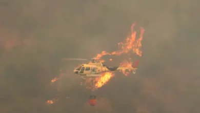 ap02042024000002a 1707039813