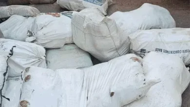 untitled 3 1708398425