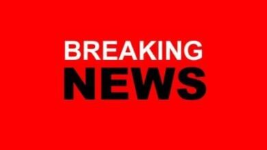 304976087 454940483319531 8136974137811968931 n