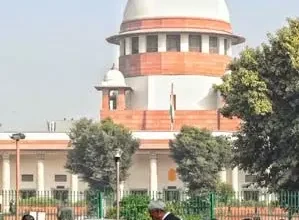 3596590 untitled 43 copy