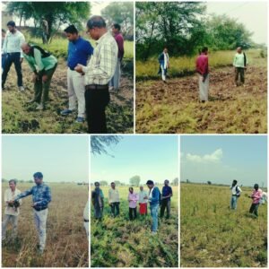 कलेक्टर के निर्देश पर ओलावृष्टि और बेमौसम बारिश से प्रभावित फसलों का सर्वेक्षण का काम शुरू 2 WhatsApp Image 2024 03 20 at 5.42.35 PM