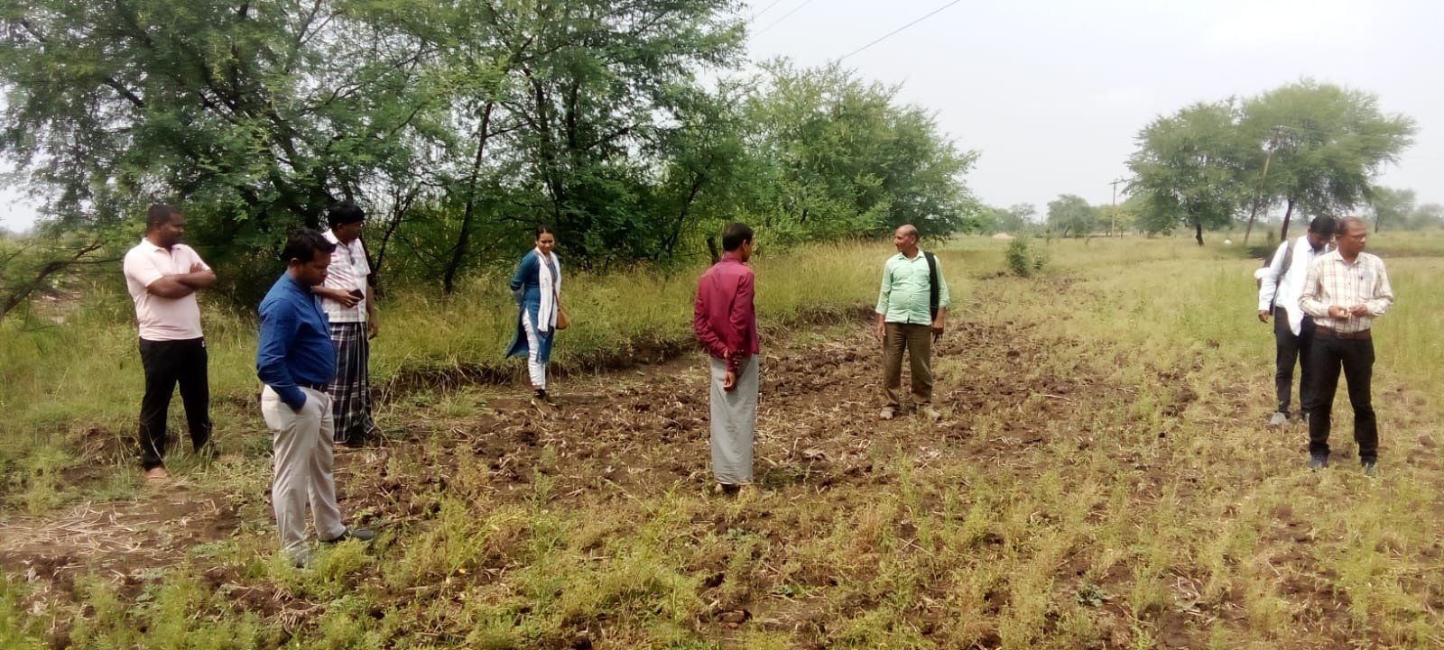 कलेक्टर के निर्देश पर ओलावृष्टि और बेमौसम बारिश से प्रभावित फसलों का सर्वेक्षण का काम शुरू 1 WhatsApp Image 2024 03 20 at 5.46.54 PM