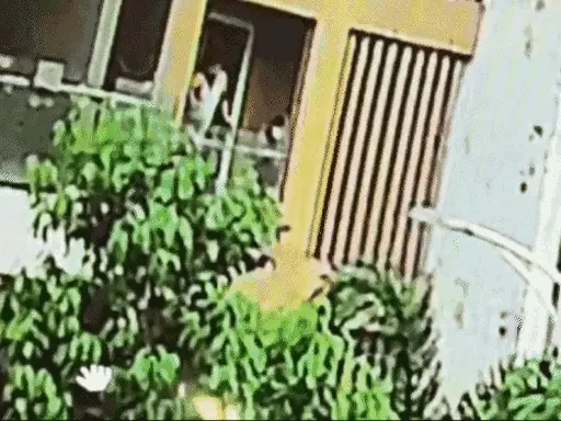 2 मंजिला इमारत से लगाई छलांग, VIDEO:बिलासपुर में प्रॉपर्टी डीलर ने किया सुसाइड; जमीन विवाद और प्रताड़ना की आशंका 1 comp 6 161711817320 1711820151