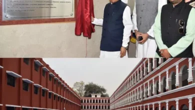 3651974 untitled 53 copy