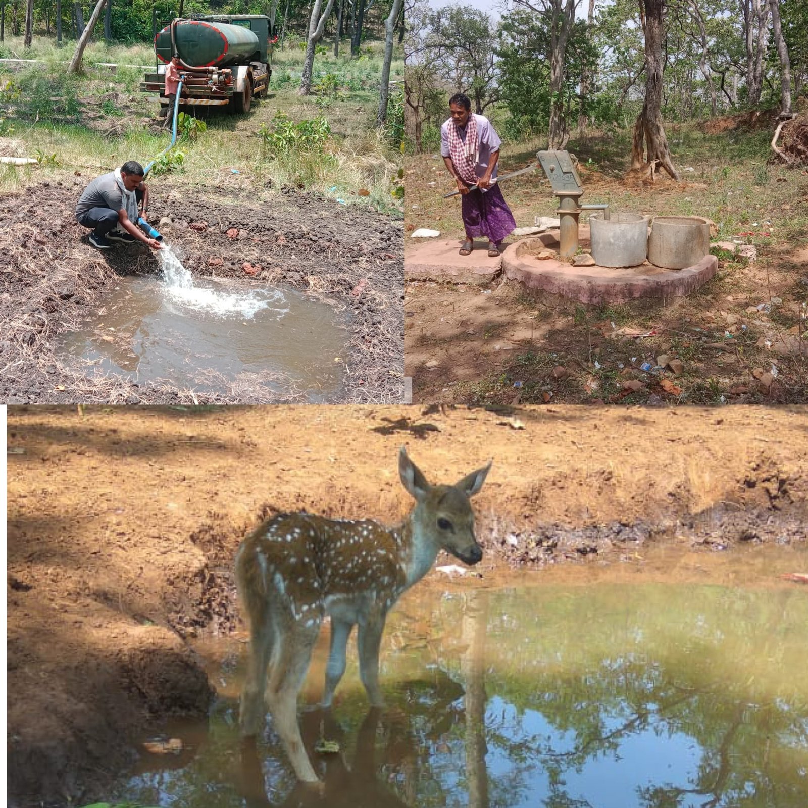 भीषण गर्मी में वन्यप्राणियों के लिए उपलब्ध कराया जा रहा पीने का पानी 1 photo output 6