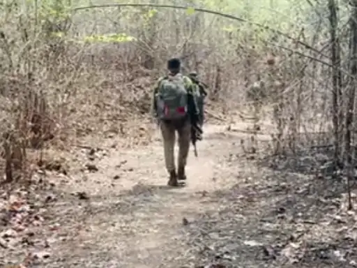 छत्तीसगढ़ में पुलिस और नक्सलियों के बीच मुठभेड़:अबूझमाड़ में हार्डकोर माओवादियों की सूचना पर निकली थी तीन जिलों की फोर्स; रुक-रुककर फायरिंग 1 screenshot20240511