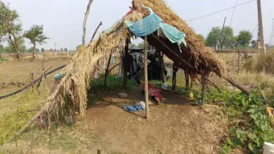 whatsapp image 2024 05 21 at 13114 pm 1716282468