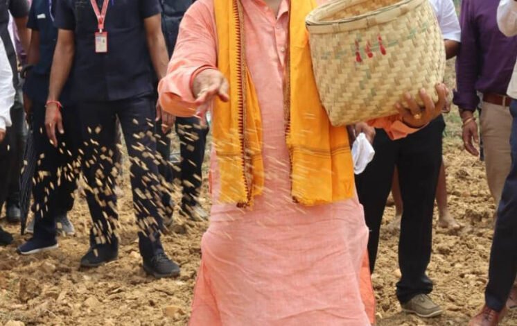 छत्तीसगढ़ में मानसून की बौछारों के साथ खेती-किसानी का काम शुरू 9 1718883390 c8ad04ed50f43d3cced5