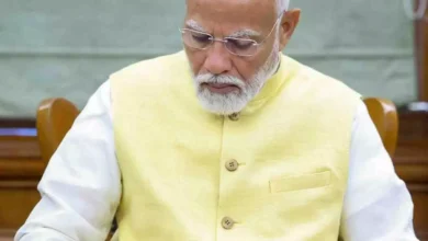 3781439 untitled 4 copy