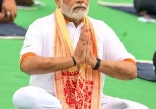 3783546 untitled 14 copy