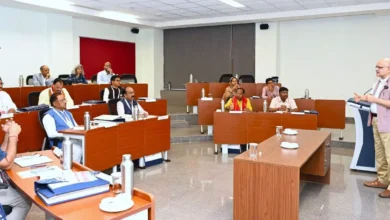 3784083 untitled 34 copy