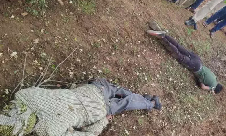 3815618 untitled 27 copy