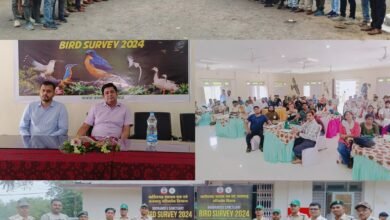 photo output 4