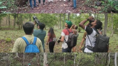 photo output 6