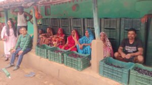 मौसमी फल जामुन के व्यवसाय से महिलाओं को मिल रहा है आर्थिक स्वावलंबन 3 1719833570 5f6e822c77259771cdf2