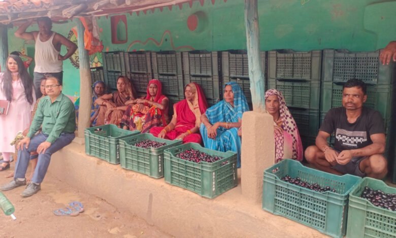 मौसमी फल जामुन के व्यवसाय से महिलाओं को मिल रहा है आर्थिक स्वावलंबन 16 1719833570 5f6e822c77259771cdf2