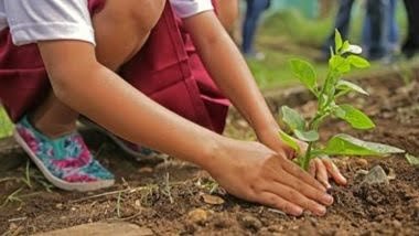 महावृक्षारोपण अभियान : छत्तीसगढ़ में 03 करोड़ 85 लाख पौधों का होगा रोपण 1 20230604192144 paudharopan aatma