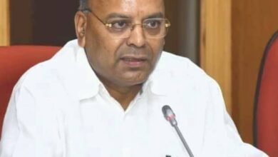 305480060 5347682125285484 744533228766428375 n