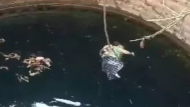 3837066 untitled 36 copy