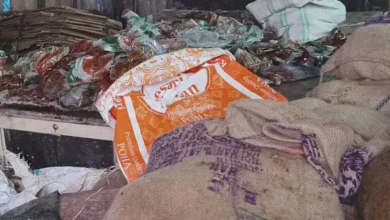 3843751 untitled 13 copy