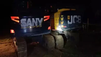 3852203 untitled 18 copy