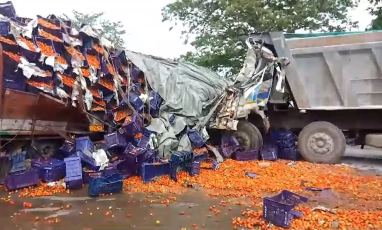 3858235 untitled 21 copy