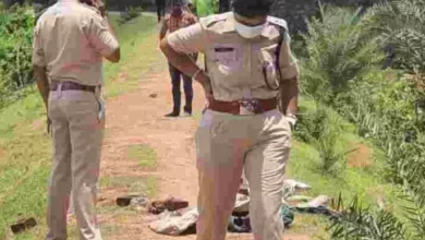 3858256 untitled 22 copy