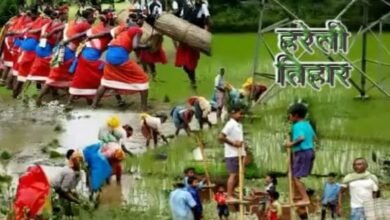 हरेली तिहार: छत्तीसगढ़ का प्रमुख त्यौहार 1 768 512 15937443 thumbnail 3x2 hareli