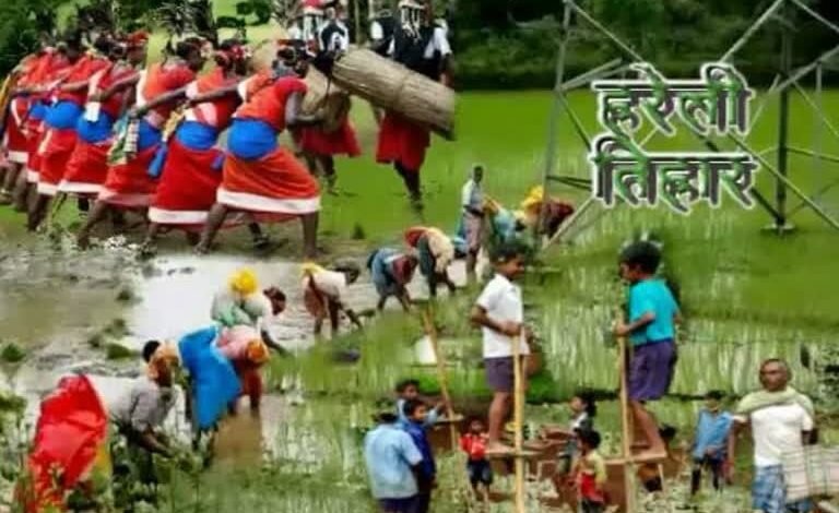 768 512 15937443 thumbnail 3x2 hareli