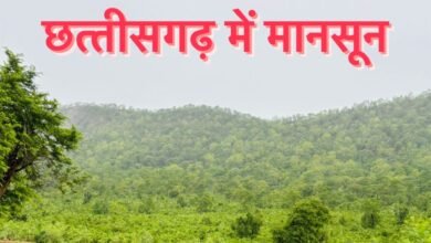 छत्तीसगढ़ लगातार 3 दिन बारिश होने की चेतावनी 13 WhatsApp Image 2024 07 02 at 11.59.03 AM
