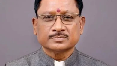 image 750x 6592c32e099a0