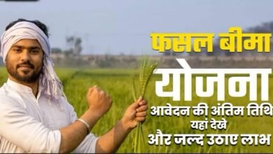 प्रधानमंत्री फसल बीमा योजना: किसानों को प्राकृतिक आपदाओं से फसल नुकसान से मिलेगी राहत 7 img 7097 1