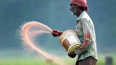 9.57 लाख मीट्रिक टन रासायनिक खाद किसानो को वितरित 18 img 7130 1