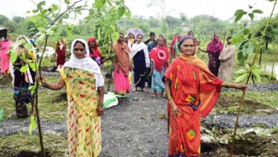 विशेष लेख : आइए इस हरेली धरती माँ का श्रृंगार करें, एक पेड़ मां के नाम लगाएं 5 1722675399 c9010dfc905f91008ea1