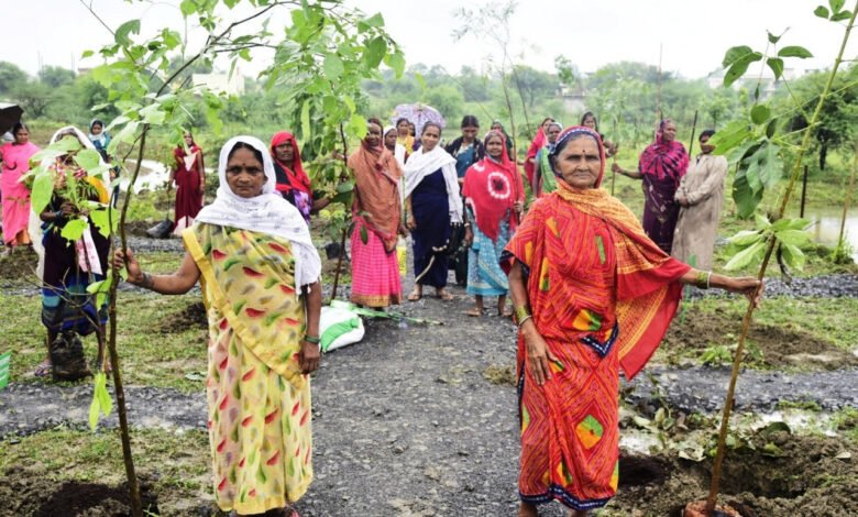 1722675399 c9010dfc905f91008ea1